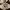 https://res.cloudinary.com/billionhands/image/upload/v1771500806/items/izzz3nmrzaofbwliqzol.avif-1cover