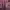 https://res.cloudinary.com/billionhands/image/upload/v1771500806/items/ud9v9s4vbi3fhs6gqnc2.jpg-3cover