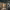 https://res.cloudinary.com/billionhands/image/upload/v1771500813/items/ccdpytkof0lv5etsuit8.jpg-0cover