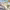 https://res.cloudinary.com/billionhands/image/upload/v1771500818/items/dvnogjz4kepyotdvltd2.jpg-3cover