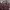 https://res.cloudinary.com/billionhands/image/upload/v1771500841/items/y3pdhmxdj6eu31slnwss.jpg-2cover