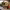 https://res.cloudinary.com/billionhands/image/upload/v1771500848/items/e7yhi4uox9bsmsogcbvw.webp-3cover