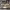 https://res.cloudinary.com/billionhands/image/upload/v1771500871/items/fhvdar0tlbe4ru79yozz.jpg-1cover