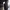 https://res.cloudinary.com/billionhands/image/upload/v1771500896/items/a3yqswylrtm39be9uybg.jpg-1cover