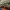 https://res.cloudinary.com/billionhands/image/upload/v1771500896/items/pemfnezufg1scct5xw9y.jpg-1cover