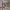 https://res.cloudinary.com/billionhands/image/upload/v1771500933/items/wh9vrqxyqstlcmsrlti9.jpg-0cover