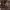 https://res.cloudinary.com/billionhands/image/upload/v1771500940/items/if51fscgirwdbn4bmssn.jpg-1cover