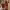 https://res.cloudinary.com/billionhands/image/upload/v1771500964/items/wzvc3jl7emp5kytg9hwj.jpg-2cover