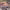 https://res.cloudinary.com/billionhands/image/upload/v1771500967/items/nzvouc15sxqalchuhupo.jpg-2cover
