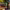 https://res.cloudinary.com/billionhands/image/upload/v1771500970/items/v5gjo2xxgwhjgsz3njy7.jpg-0cover