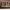 https://res.cloudinary.com/billionhands/image/upload/v1771500973/items/seyj8n9cmxnx2hf22nme.jpg-2cover