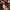 https://res.cloudinary.com/billionhands/image/upload/v1771500979/items/r6p564shtfjl4snu4t5x.jpg-3cover