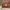 https://res.cloudinary.com/billionhands/image/upload/v1771501047/items/jcjwaqojrai8irnsgqrp.jpg-2cover