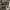 https://res.cloudinary.com/billionhands/image/upload/v1771501059/items/x5qvcw81ausq5y77ccxw.png-0cover