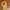 https://res.cloudinary.com/billionhands/image/upload/v1771501111/items/tdhvjp8tnp453g6zx9q0.jpg-1cover