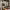 https://res.cloudinary.com/billionhands/image/upload/v1771501120/items/rc2yjkwctozj7oad92n5.jpg-0cover