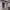 https://res.cloudinary.com/billionhands/image/upload/v1771501155/items/bpfegwj7aoer2p3wmpzi.avif-2cover