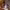 https://res.cloudinary.com/billionhands/image/upload/v1771501162/items/delbmqpcxont2vgxwla0.jpg-3cover