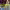 https://res.cloudinary.com/billionhands/image/upload/v1771501172/items/ytx5jzqerxxqexg26oxd.jpg-2cover