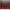 https://res.cloudinary.com/billionhands/image/upload/v1771501281/items/b7z1e3evdlbqfnowlkgy.jpg-3cover
