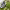 https://res.cloudinary.com/billionhands/image/upload/v1771501281/items/luasm5b0mty1r5pjqw6p.jpg-2cover