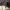 https://res.cloudinary.com/billionhands/image/upload/v1771501332/items/vgjwq9k1kiehg99eot5s.webp-3cover