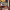 https://res.cloudinary.com/billionhands/image/upload/v1771501400/items/potpae7kdufnzqrqpnrj.jpg-3cover