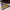 https://res.cloudinary.com/billionhands/image/upload/v1771501402/items/bjxredulb1ix6pdcruaj.jpg-2cover