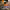 https://res.cloudinary.com/billionhands/image/upload/v1771501439/items/equwse0w69ms6pdydzx8.jpg-3cover