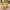https://res.cloudinary.com/billionhands/image/upload/v1771501446/items/wdjsirbp2bfijig3adi6.webp-3cover