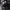 https://res.cloudinary.com/billionhands/image/upload/v1771501516/items/wwoayhx2gktgfu74pyg8.jpg-1cover