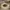 https://res.cloudinary.com/billionhands/image/upload/v1771501537/items/olrv3m32kc5ceqxe5jae.jpg-3cover