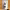 https://res.cloudinary.com/billionhands/image/upload/v1771501541/items/eedv7zaetiexohcg7j5n.jpg-3cover