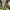 https://res.cloudinary.com/billionhands/image/upload/v1771501651/items/cnaq8sbxskuzfmkxtdvx.jpg-0cover