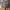 https://res.cloudinary.com/billionhands/image/upload/v1771501681/items/k3aogggonk1krtjgp737.jpg-2cover