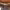 https://res.cloudinary.com/billionhands/image/upload/v1771501728/items/rsu7bvahyfs3dgqniu37.jpg-2cover