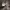 https://res.cloudinary.com/billionhands/image/upload/v1771501730/items/zifeyh0d4og4yew0cgmi.jpg-1cover