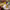 https://res.cloudinary.com/billionhands/image/upload/v1771501745/items/wycnwmb7utug5s7j1w22.jpg-0cover