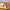 https://res.cloudinary.com/billionhands/image/upload/v1771501756/items/mzrievbeubvlk6bg4ij1.jpg-3cover