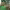 https://res.cloudinary.com/billionhands/image/upload/v1771501780/items/qrkrwmesd7yvgsimmn7q.jpg-3cover
