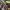 https://res.cloudinary.com/billionhands/image/upload/v1771501783/items/tuhh97rrlh2vsotf9vwd.jpg-2cover