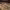 https://res.cloudinary.com/billionhands/image/upload/v1771501809/items/ebwrdz23fqt5gpsrulya.jpg-2cover