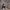 https://res.cloudinary.com/billionhands/image/upload/v1771501828/items/hdu7gpwqd1t0dmdro7ec.webp-1cover