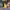 https://res.cloudinary.com/billionhands/image/upload/v1771501842/items/fifamfimtxoyv0nseeus.webp-0cover