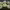 https://res.cloudinary.com/billionhands/image/upload/v1771501939/items/rburrvrfru8wsxkcaefh.jpg-3cover