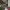 https://res.cloudinary.com/billionhands/image/upload/v1771501968/items/v4vxfopuvqqdogw4gcqa.jpg-0cover