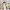 https://res.cloudinary.com/billionhands/image/upload/v1771501973/items/sfytmtiqvbw1k1odevpo.webp-1cover
