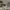 https://res.cloudinary.com/billionhands/image/upload/v1771501993/items/mwsr1cdedgjqfm2nqzge.jpg-1cover