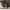 https://res.cloudinary.com/billionhands/image/upload/v1771502017/items/rpgdf8gvb7barl7u1df2.jpg-0cover