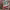 https://res.cloudinary.com/billionhands/image/upload/v1771502024/items/eggxotkchi6bdfiugwnd.webp-1cover